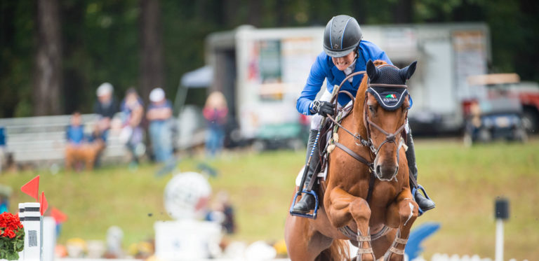 FHI-17-1015-AD3b-225 copy