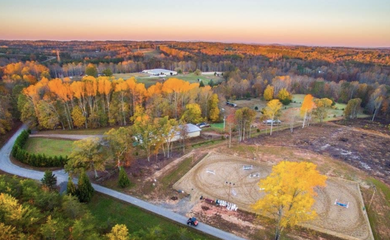 Screen Shot 2021-08-18 at 10.21