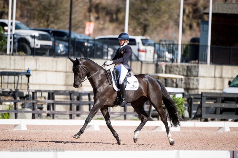 Liz Halliday-Sharp