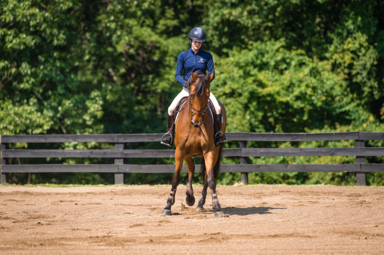 SloaneColes©AmyKDragoo_PHM-18-0810-AD1b-830-2