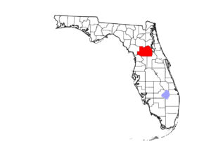 A Tennessee Walking Horse gelding in Marion County, Florida, is positive for strangles, and one additional case is suspected.