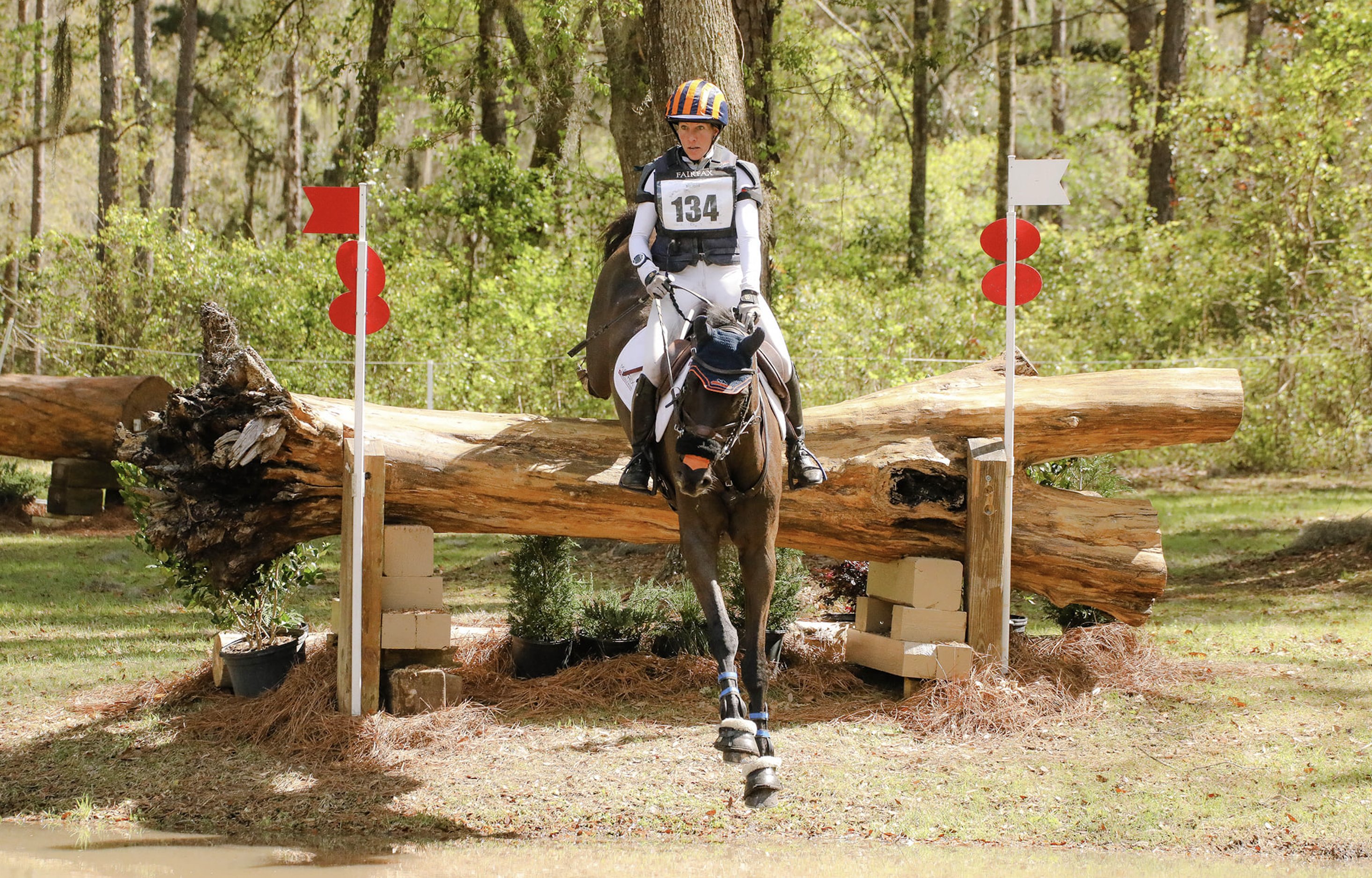 Ask a Pro - Routine Joint Maintenance and Care - Practical Horseman