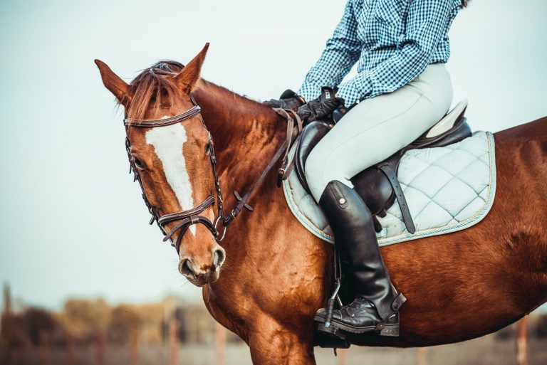Young woman athlete rides a horse. Jumping training in the spring in the field