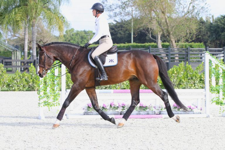 under saddle