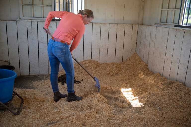 stall cleaning