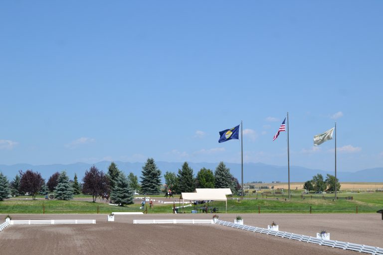 DSC_0003