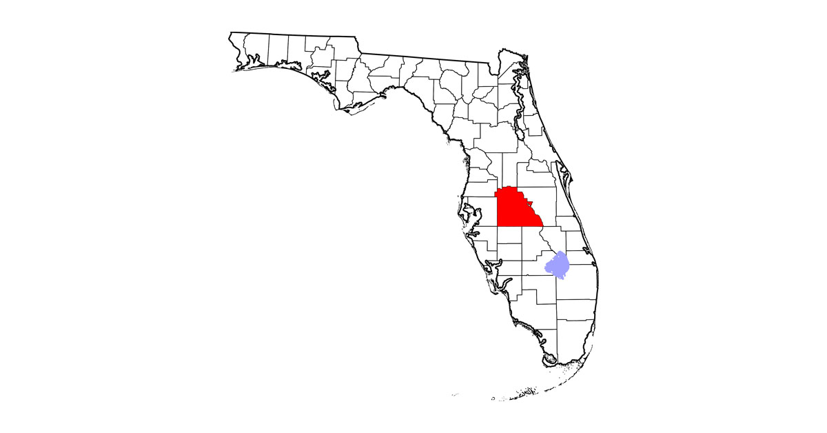 Three Strangles Cases Suspected In Florida Practical Horseman three-strangles-cases-suspected-in-florida-practical-horseman