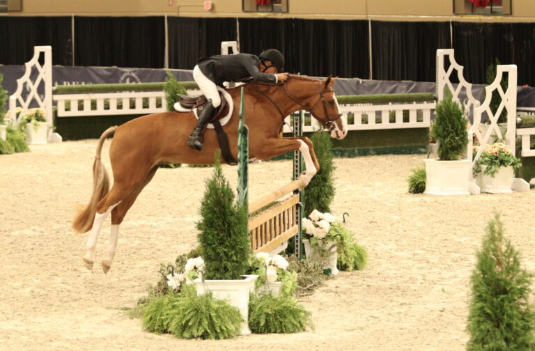Capital Challenge Horse Show