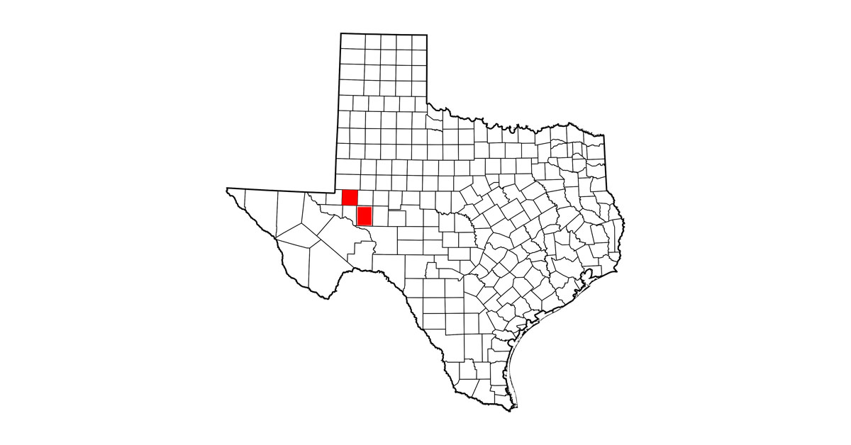 Four Texas Quarter Horses Positive for EIA Practical Horseman