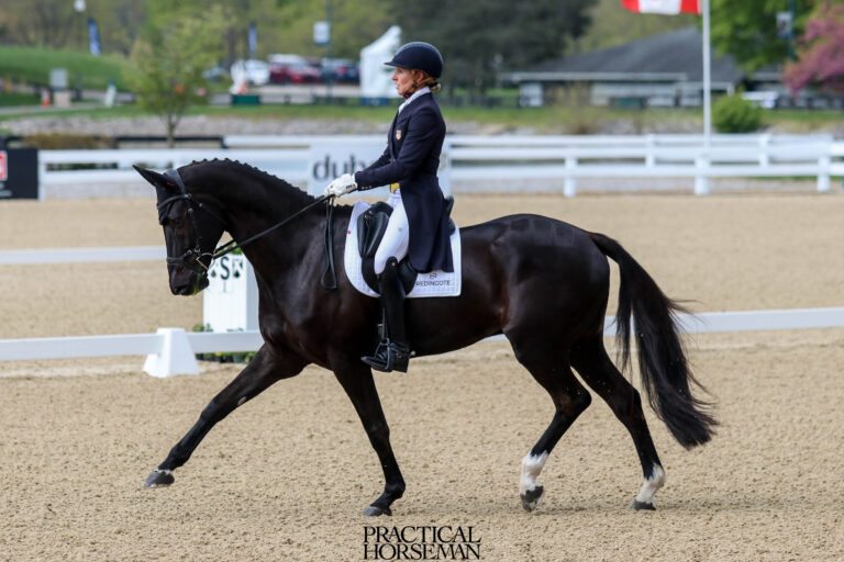 Dressage