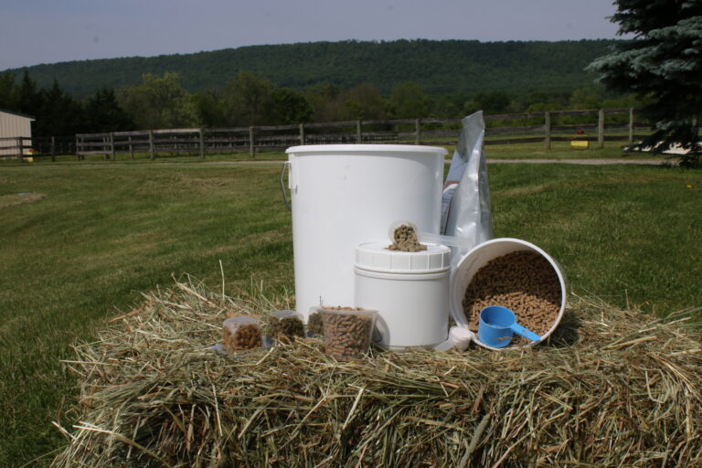 feeding and nutrition