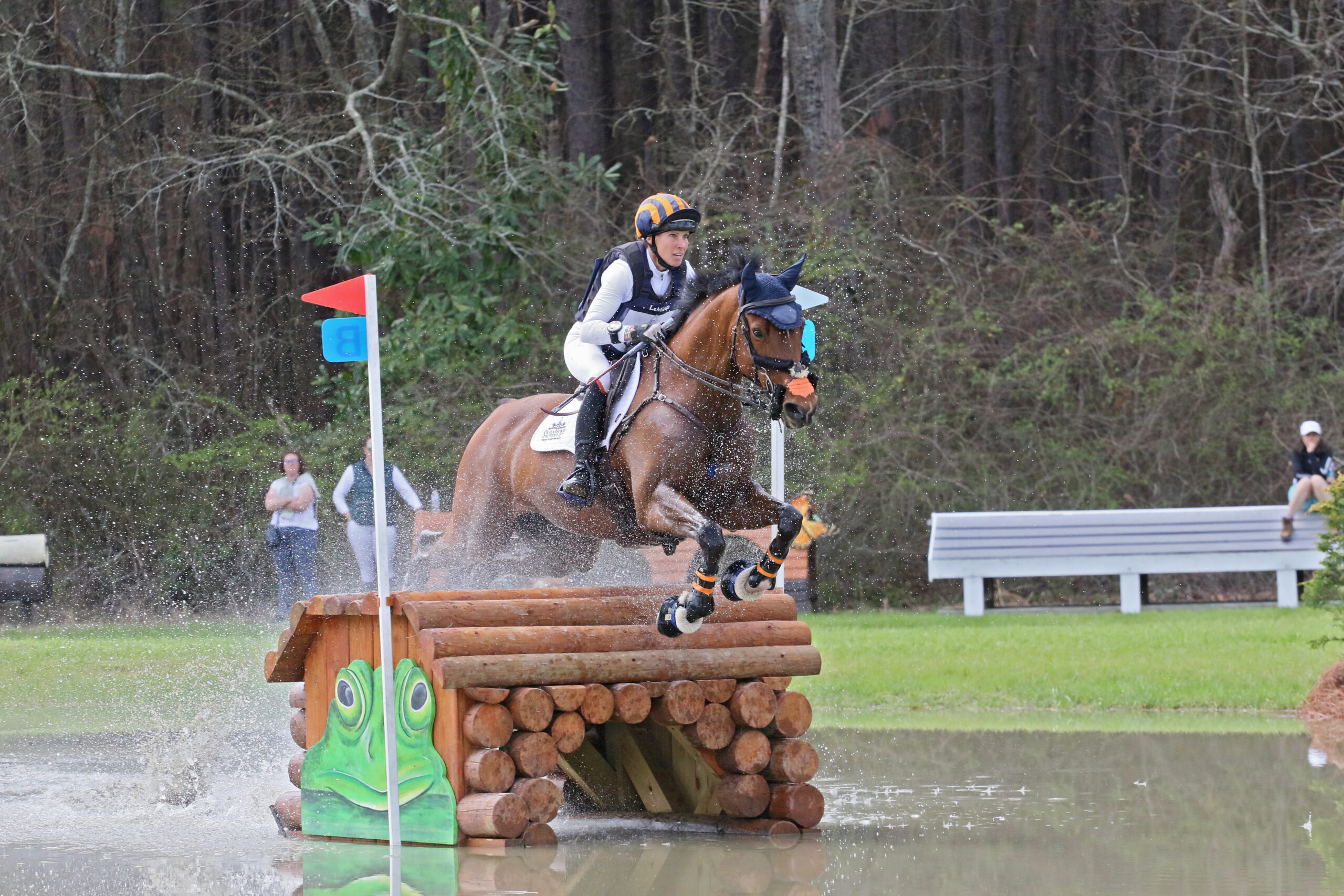 Liz Halliday-Sharp Archives - Practical Horseman