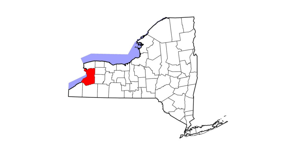 Thirty-six horses in Barn G at Buffalo Raceway in Erie County, New York, are quarantined due to an EHV-1 exposure. 