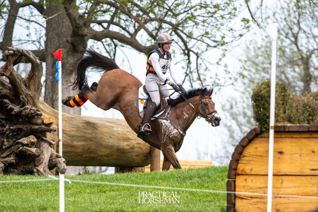 Lauren Nicholson and Vermiculus