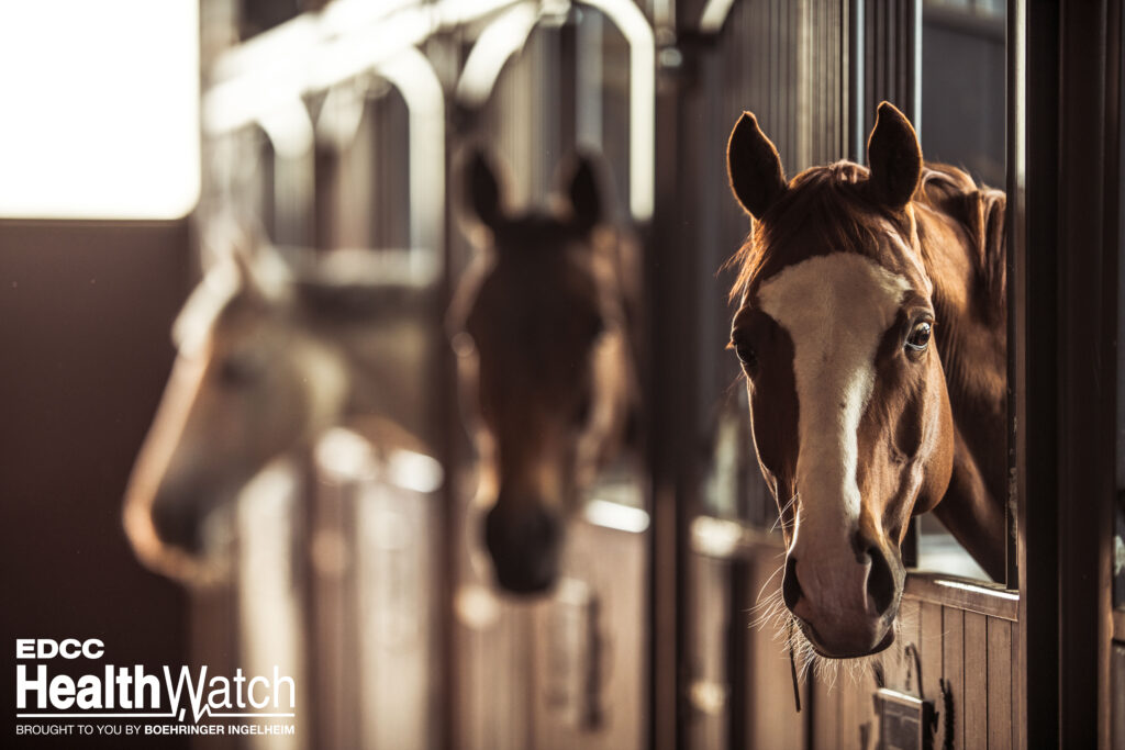 Equine strangles cases were recently confirmed in Wexford, St. Clair, and Emmett counties, Michigan.