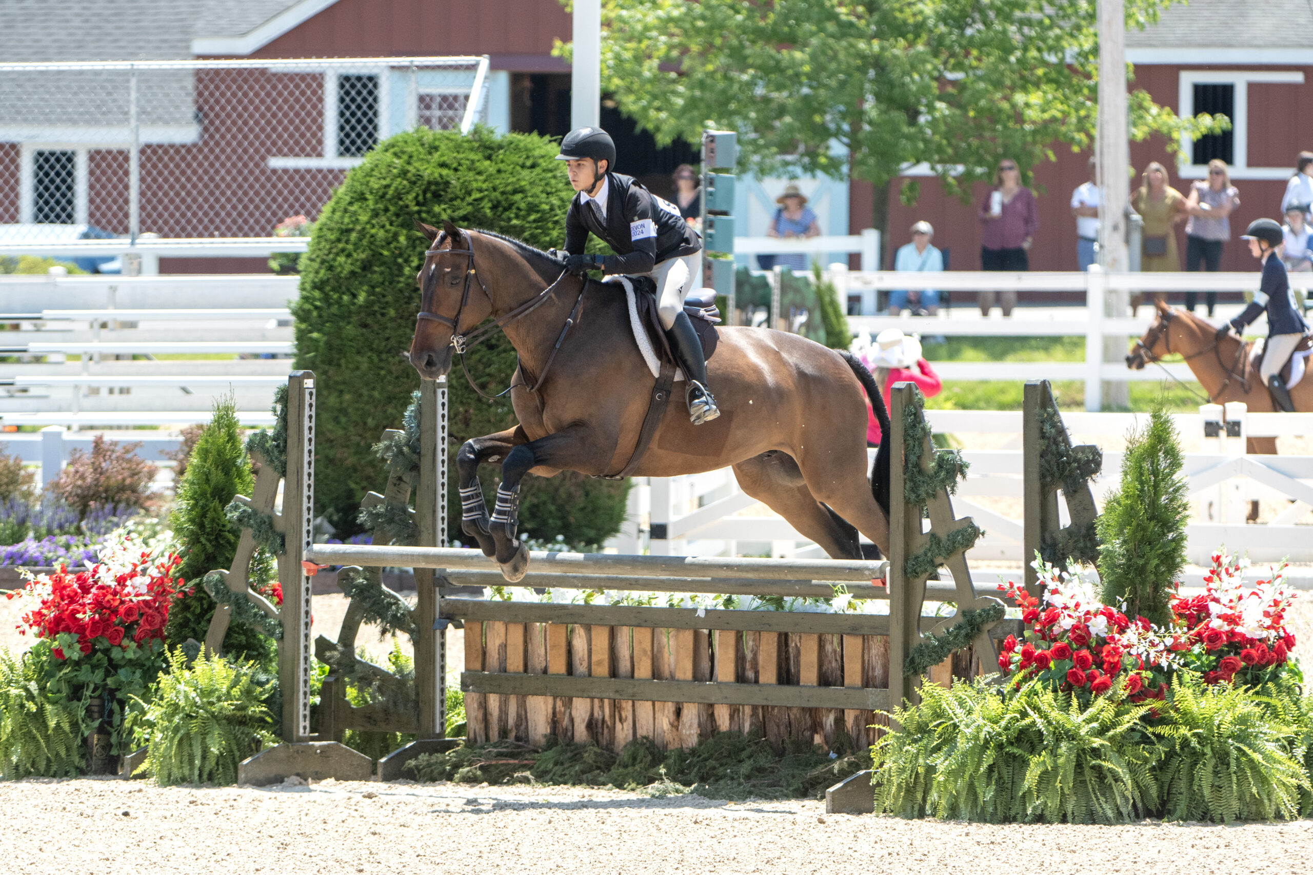 ジノリ　ジオポンティ　Equestrian 乗馬　19.5×2 Dominguez, Sweetnam and Torano Sweep ASPCA Maclay at Devon