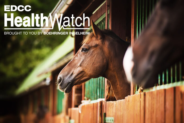 EDCC-Image-9-Larger-Logo-scaled