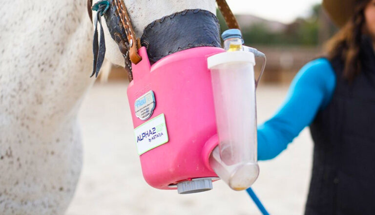 equine asthma