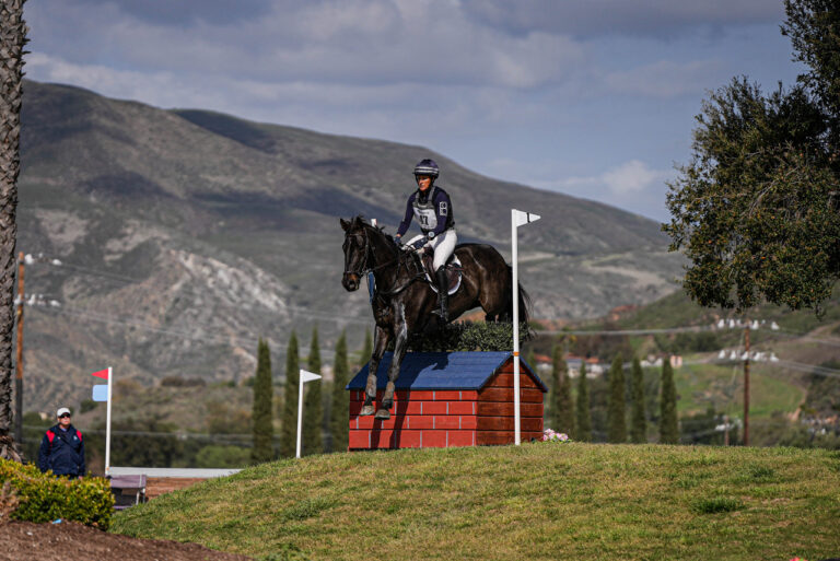 Bec Braitling_Caravaggio II-02787