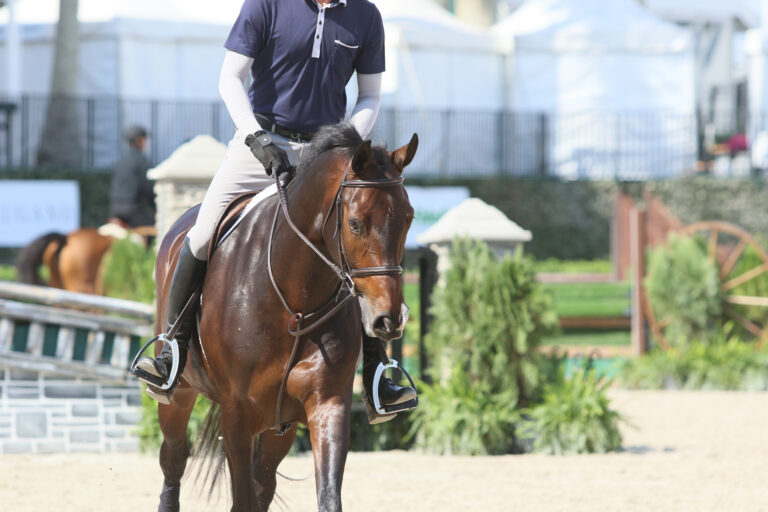 SaddleFit_2