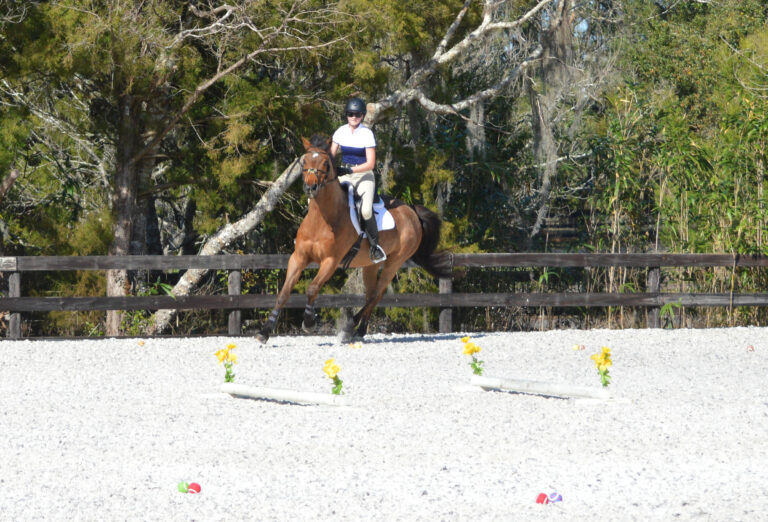 JMD_Exercise2 copy 2