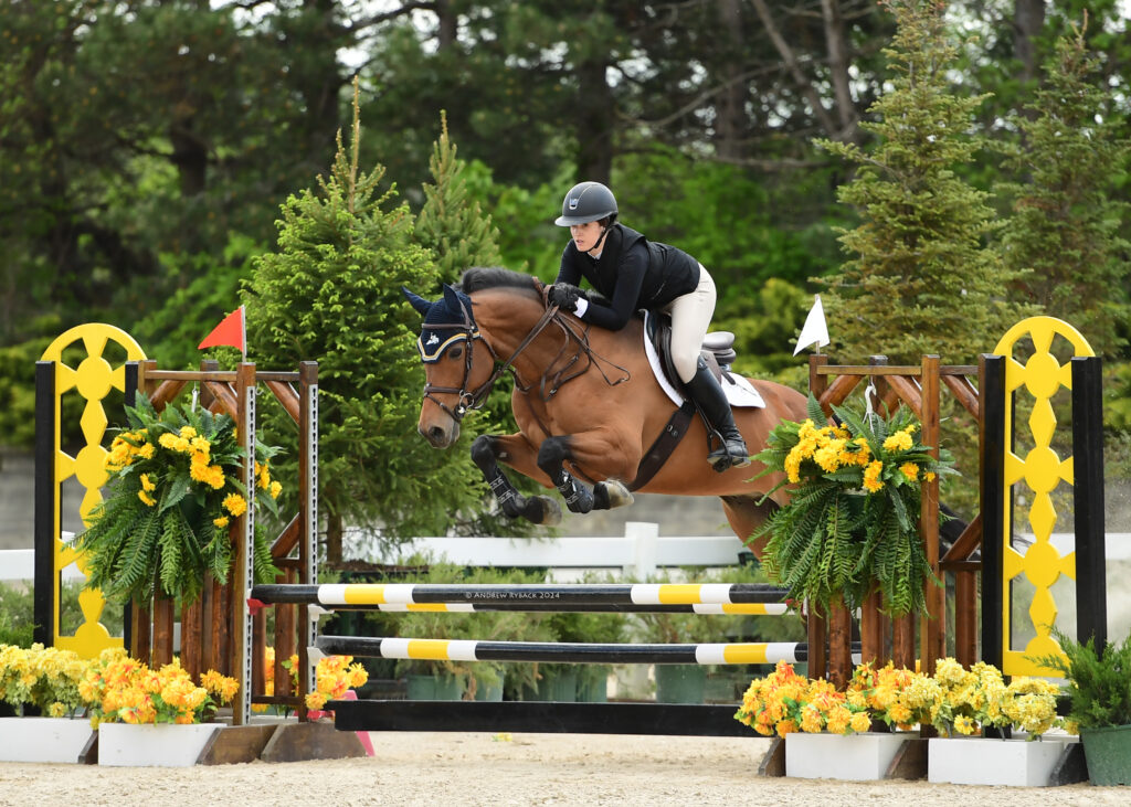 Photo 1 of a horse-and-rider pair jumping an oxer.