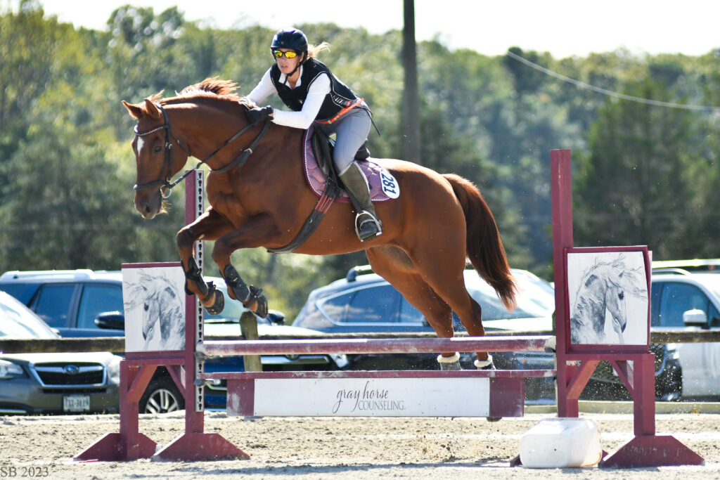 Photo 2 of a horse-and-rider pair jumping a vertical.