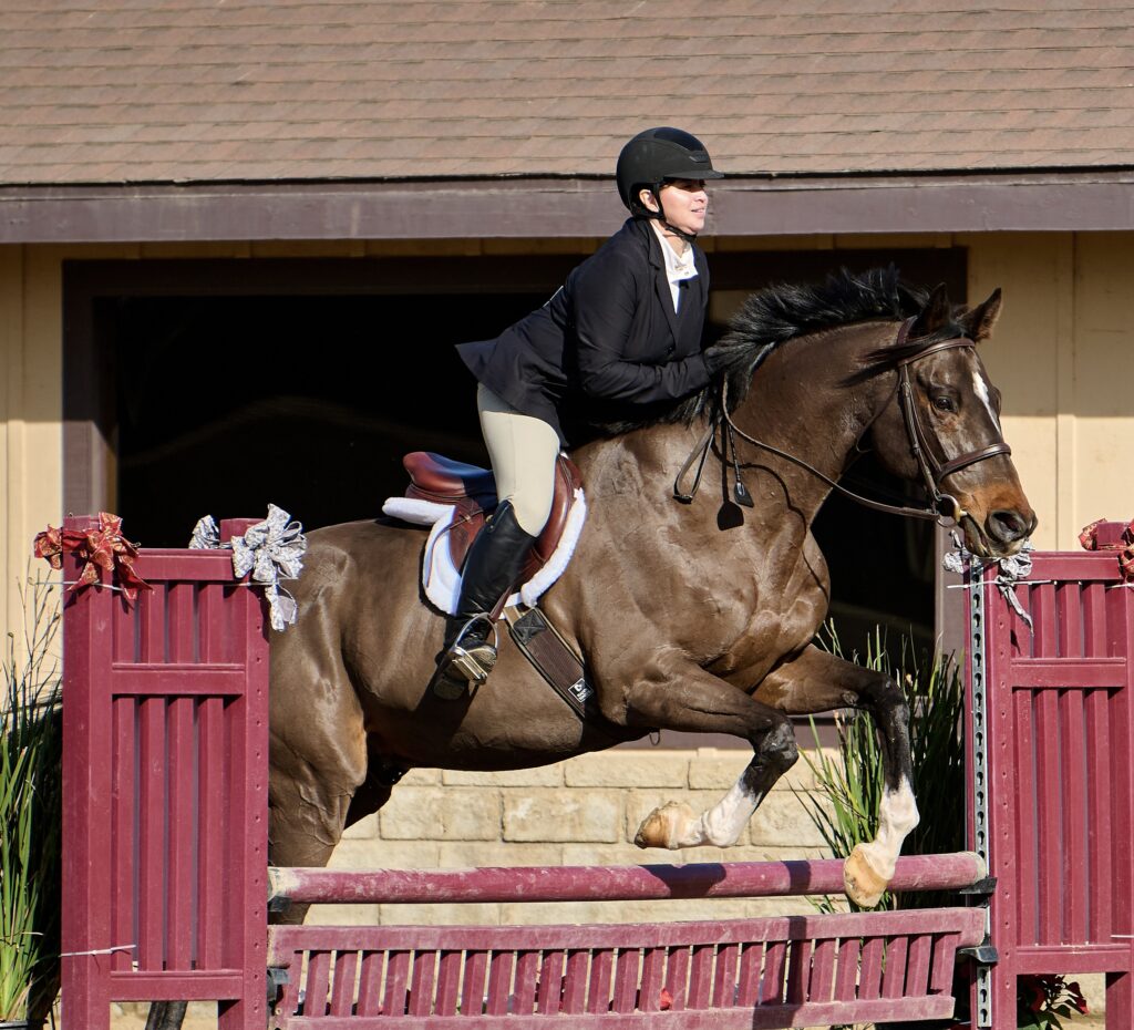 Photo 3 of a horse-and-rider pair jumping a vertical.
