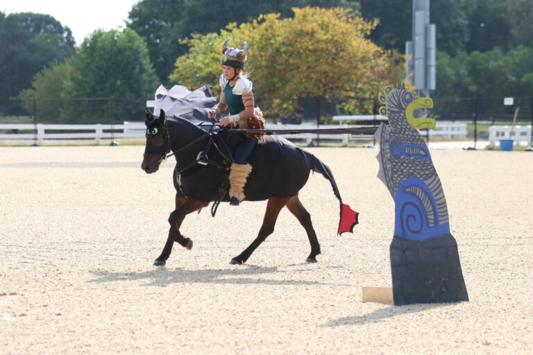 IMG_6517 copy