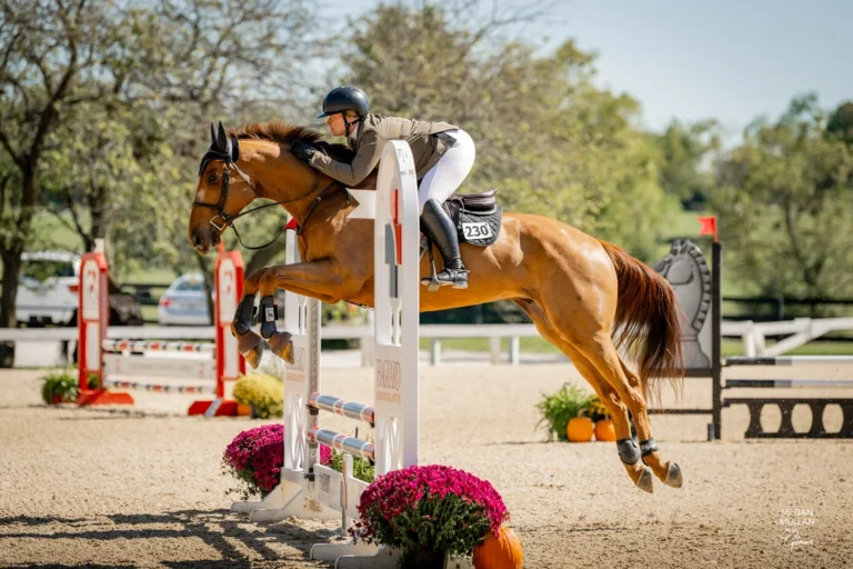 TB_ShowJumperSat