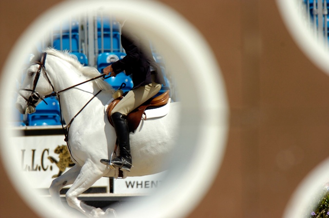 Nick Novak.YB Blue.Winter Equestrian Festival.1