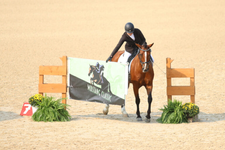 MustangClassic_TN2