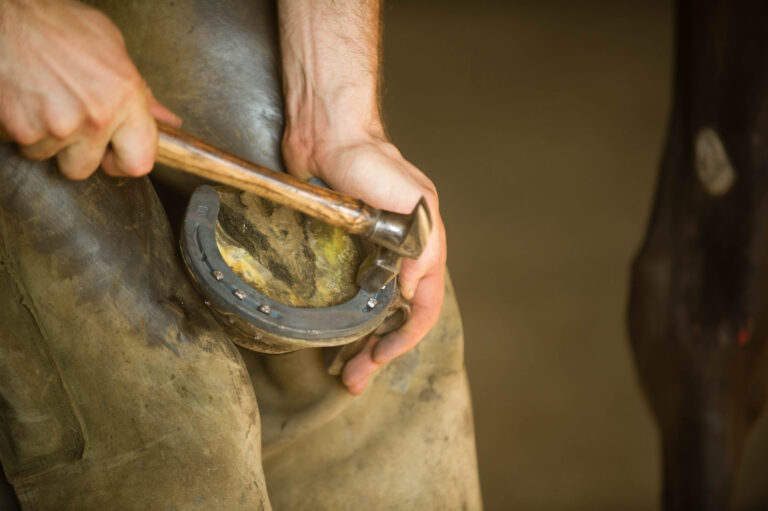 STK-14-0806-CaC1-066