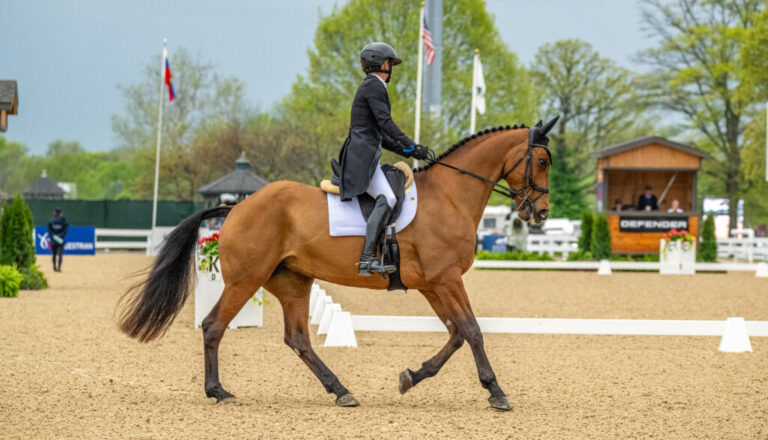 LISSAVORRA QUALITYElisa WallaceUSA