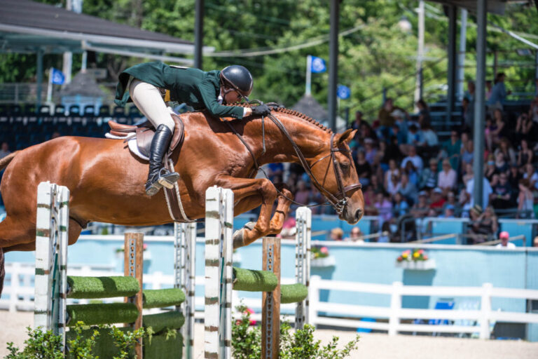 Haylie RolfeCoronado