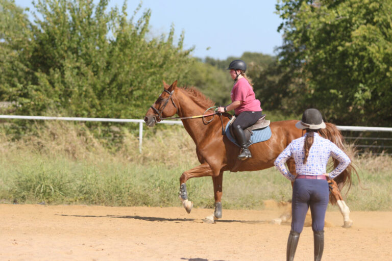 Diagonals_2-1024x683