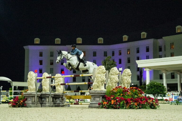 55096255206_79d587c639_o