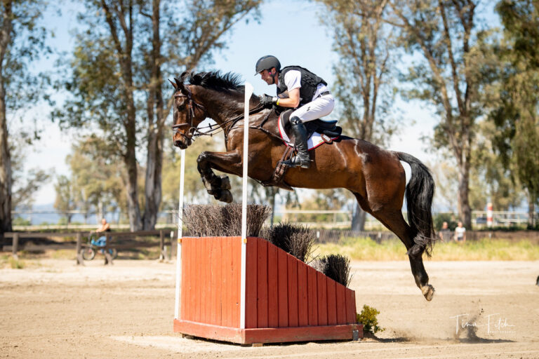 GREENGARD-BALLADEERKILBRICKENSLAD-614