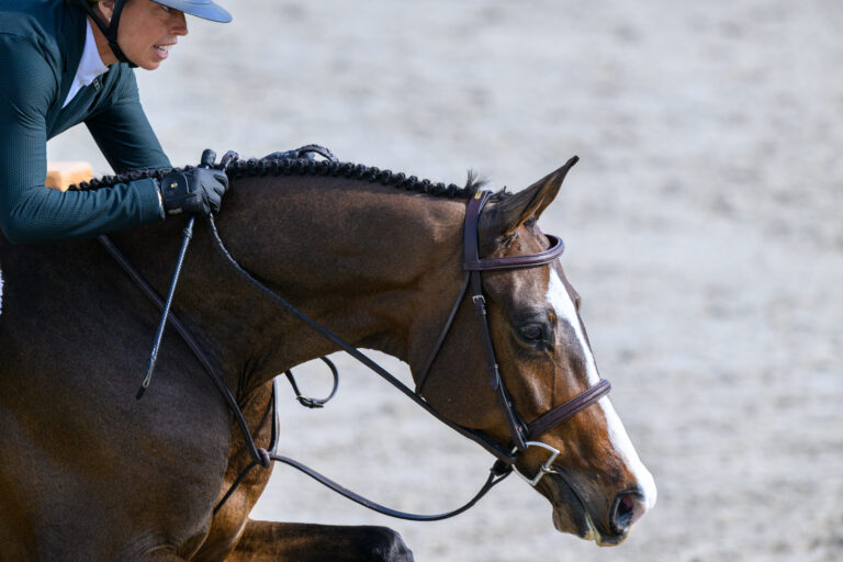 Jean SheptoffLet's Wait and See HX