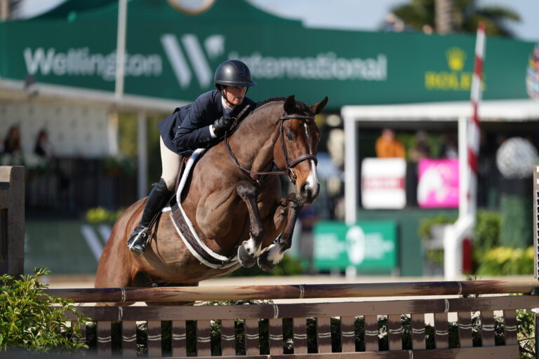 Performance Hunter 3'6 Stake; 7536, LAFITTE DE MUZE, AMANDA STEEGE; Sportfot