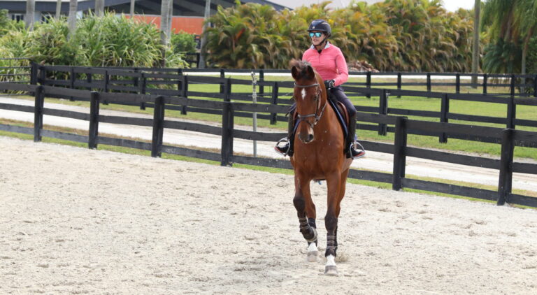 BENDING LINE COLLECT 2_IMG_0090