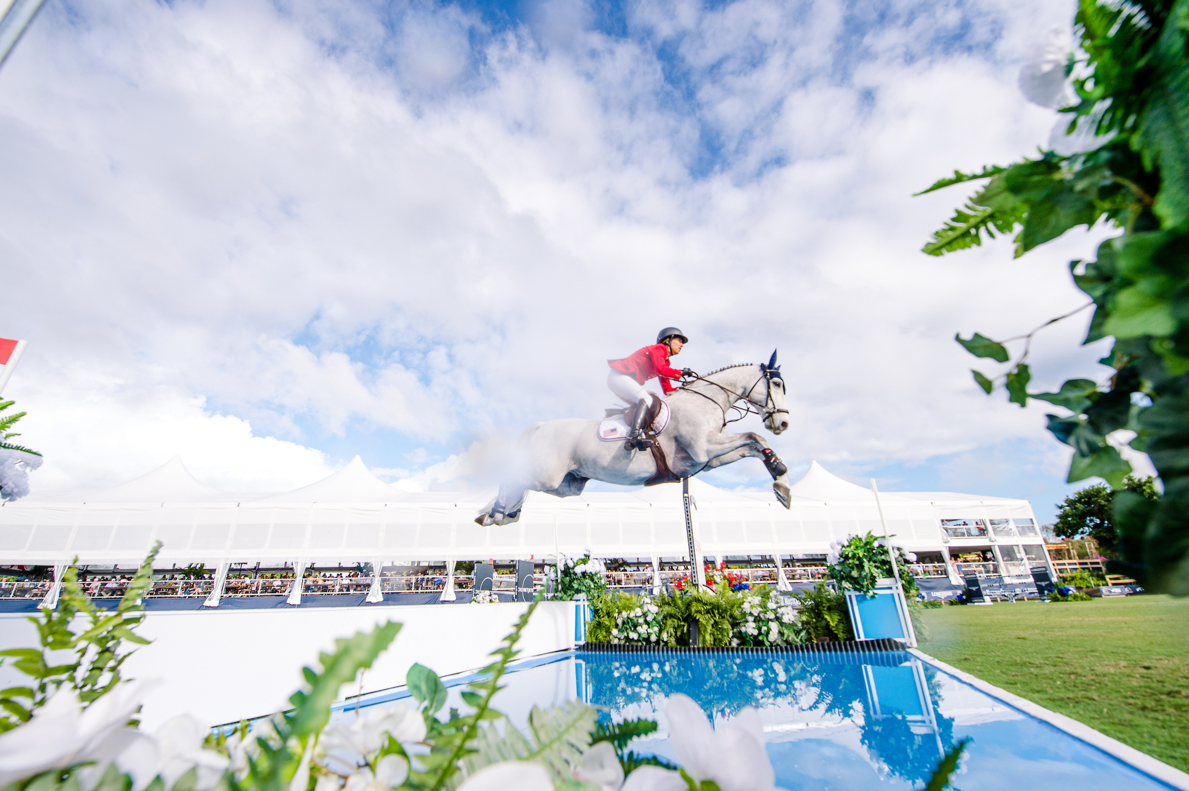 Confu Laura KrautUSA