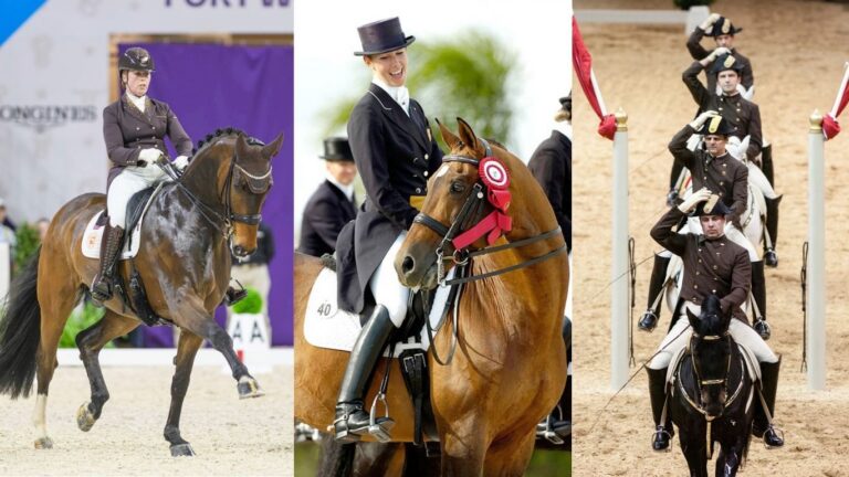 DressageFashion_FINAL_TN