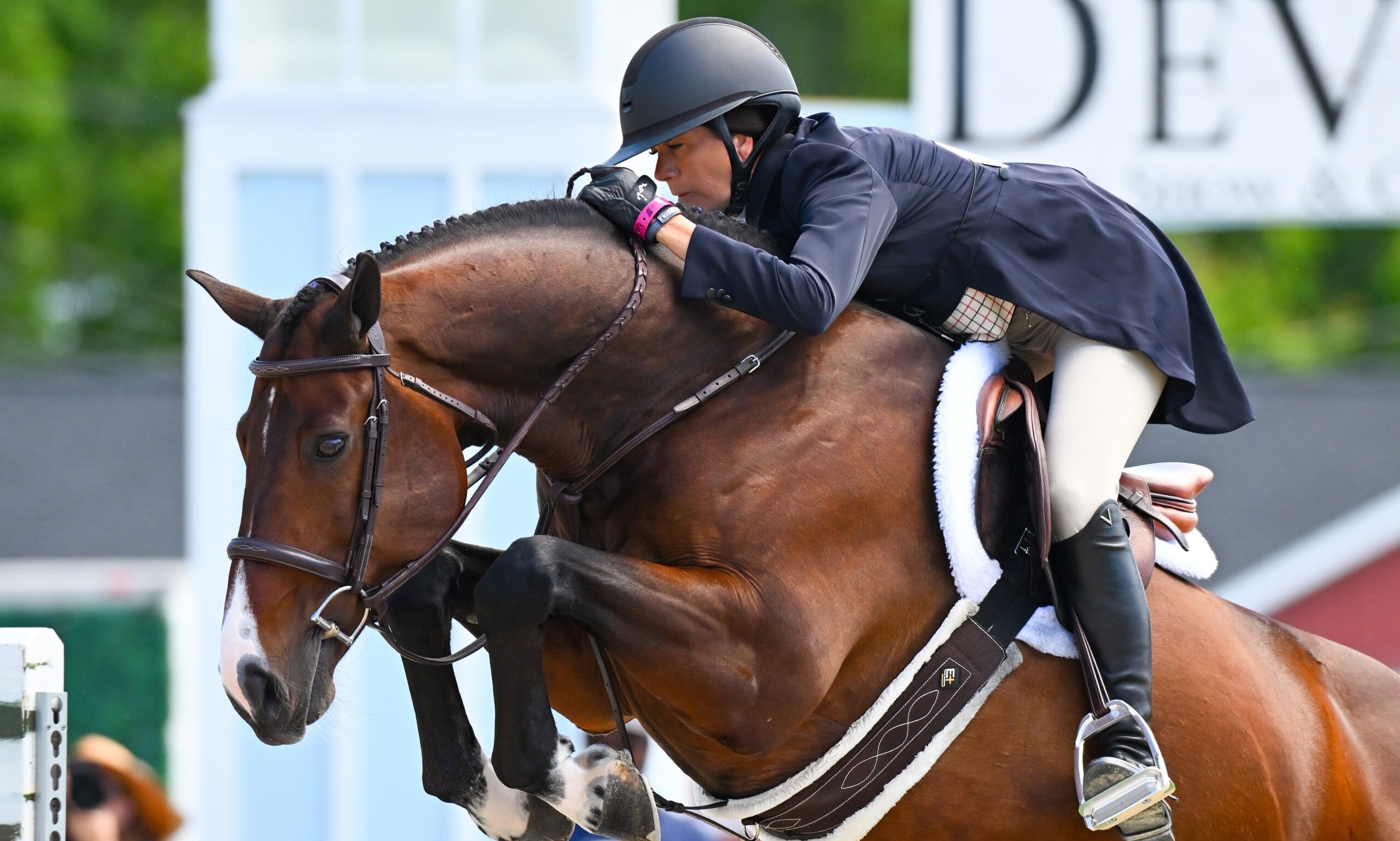 Bay horse Lafitte de Muze jumps over a fence at the Devon Horse Show with rider Amanda Steege.