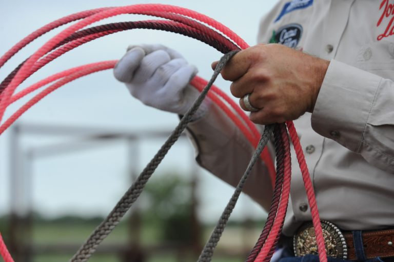 bridle reins