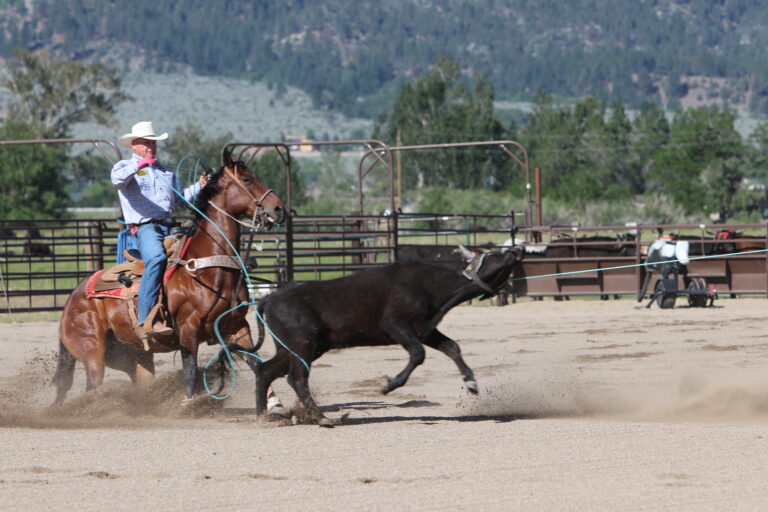 Clay O'Brien Cooper The Team Roping Journal