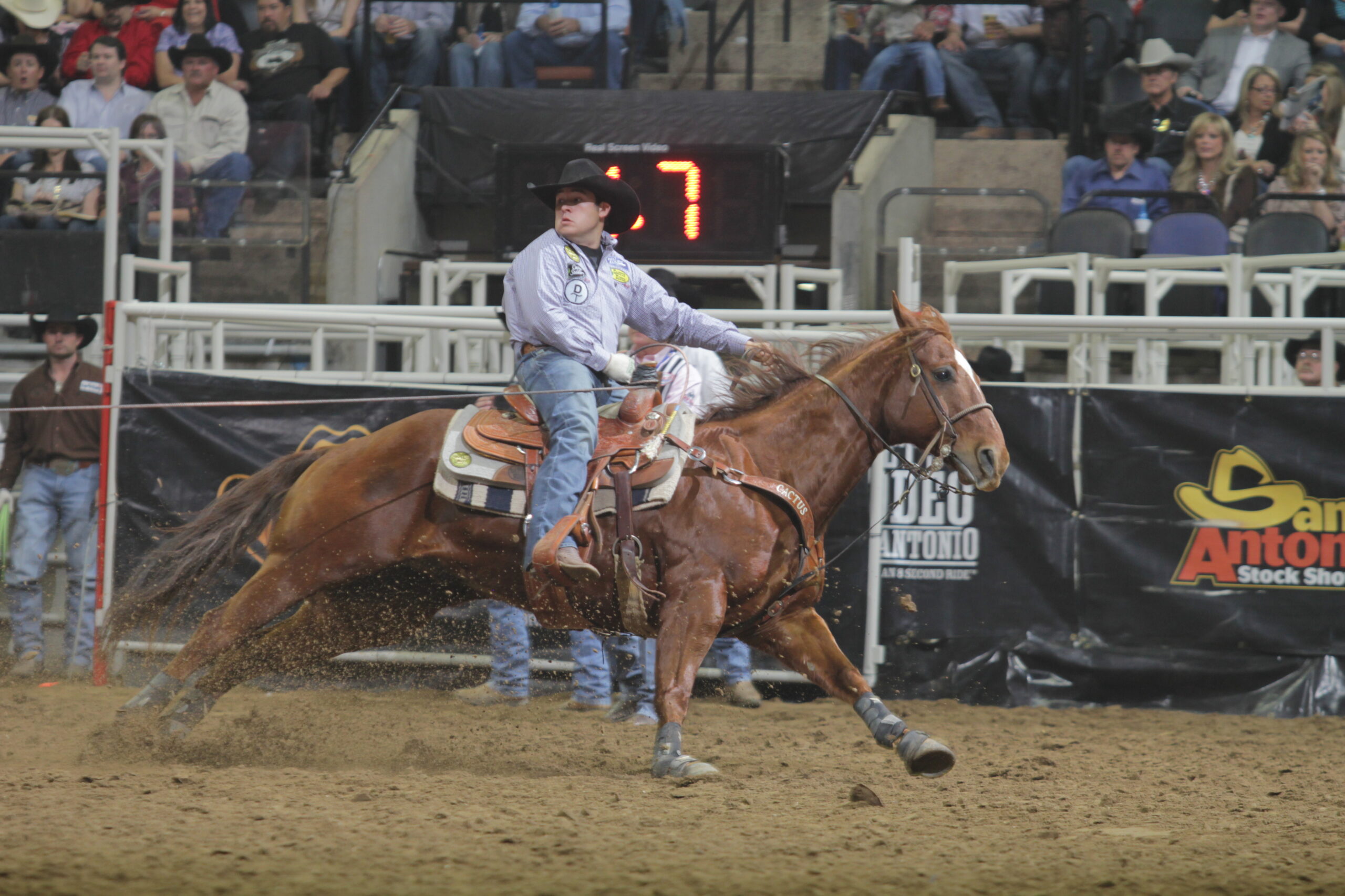 Kaleb Driggers turning a steer for Jade Cornell at the 2012 San Antonio Stock Show and Rodeo.