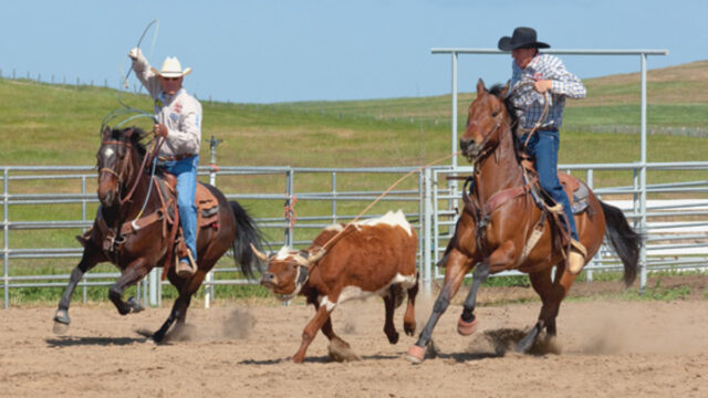 team roping rope