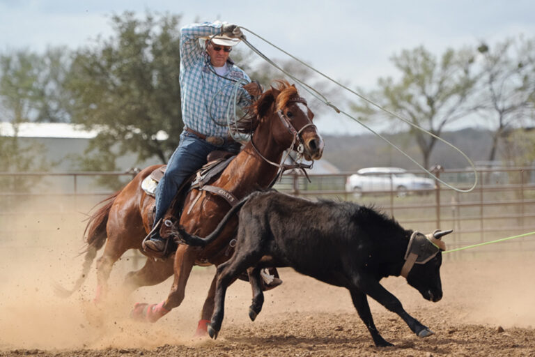 MTQ5MzM3NzQ5NDIxMTA2NzM1