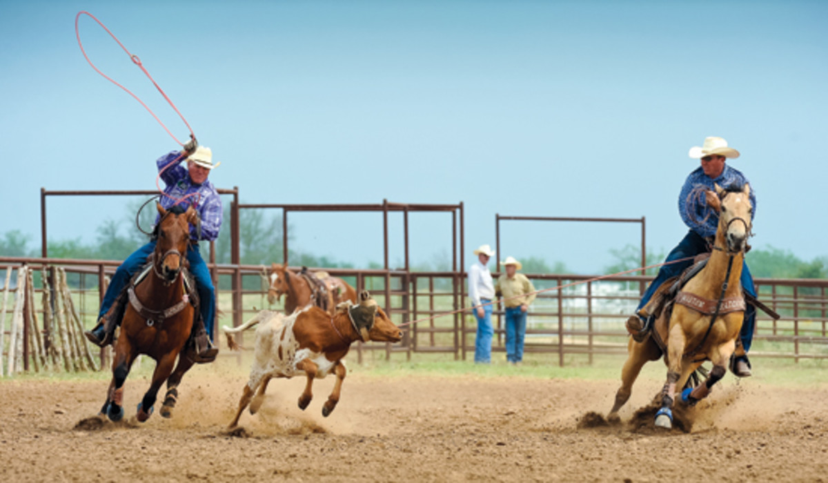 Jake Barnes Clay O Brien Cooper The Team Roping Journal